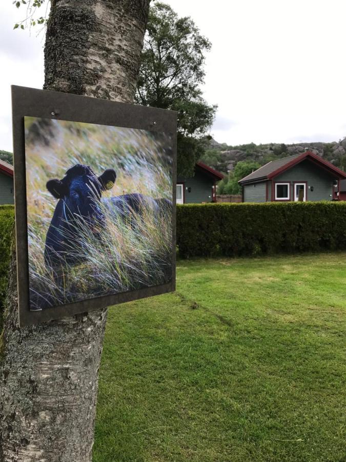 Naf Steinsnes Campeggio Egersund